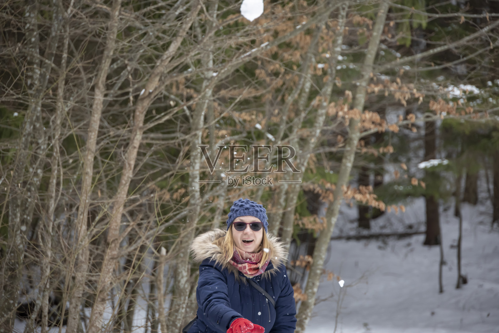 我从不错过一场新雪!照片摄影图片