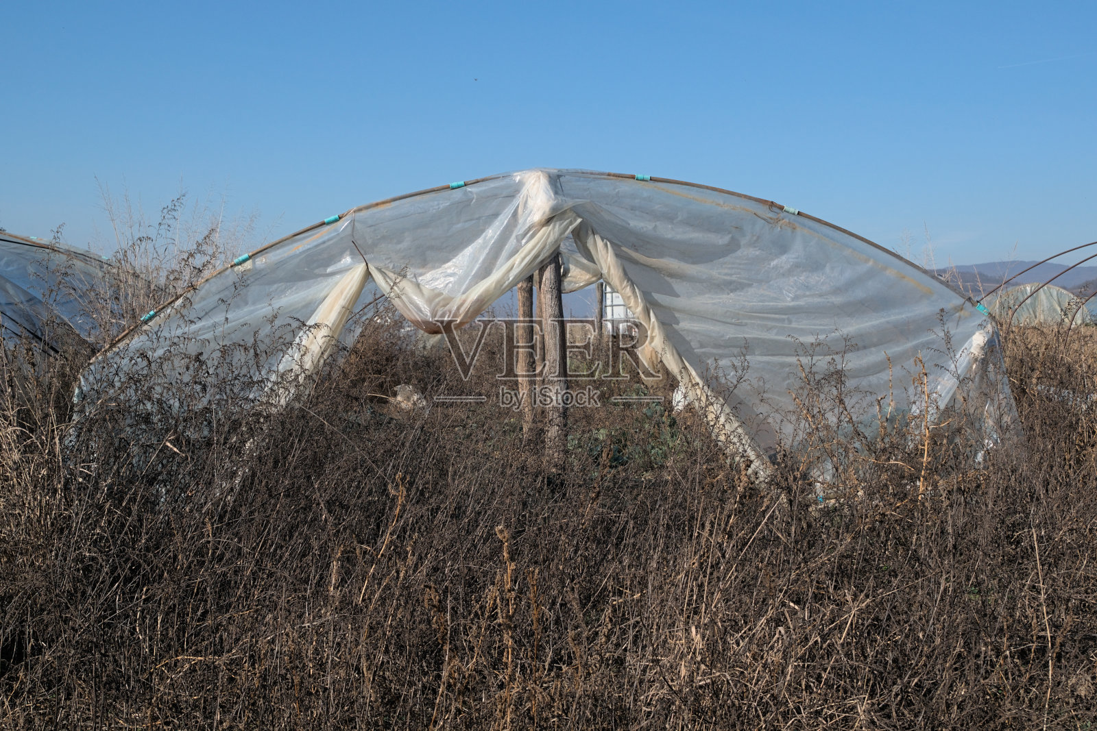 尼龙温室照片摄影图片