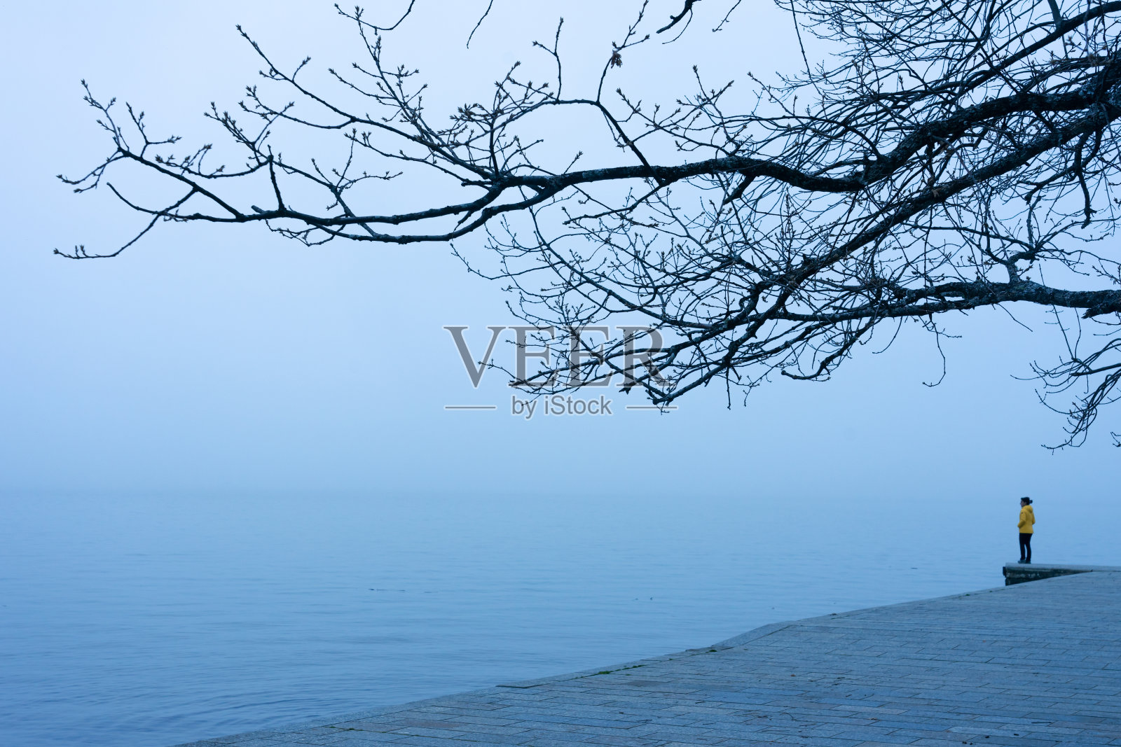 在萨纳布里亚湖的一个大雾天，一名身穿黄色夹克的女子站在码头上望着地平线。萨莫拉,西班牙。照片摄影图片