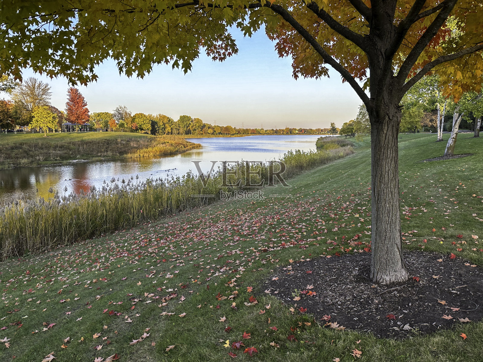 湖边的秋天照片摄影图片