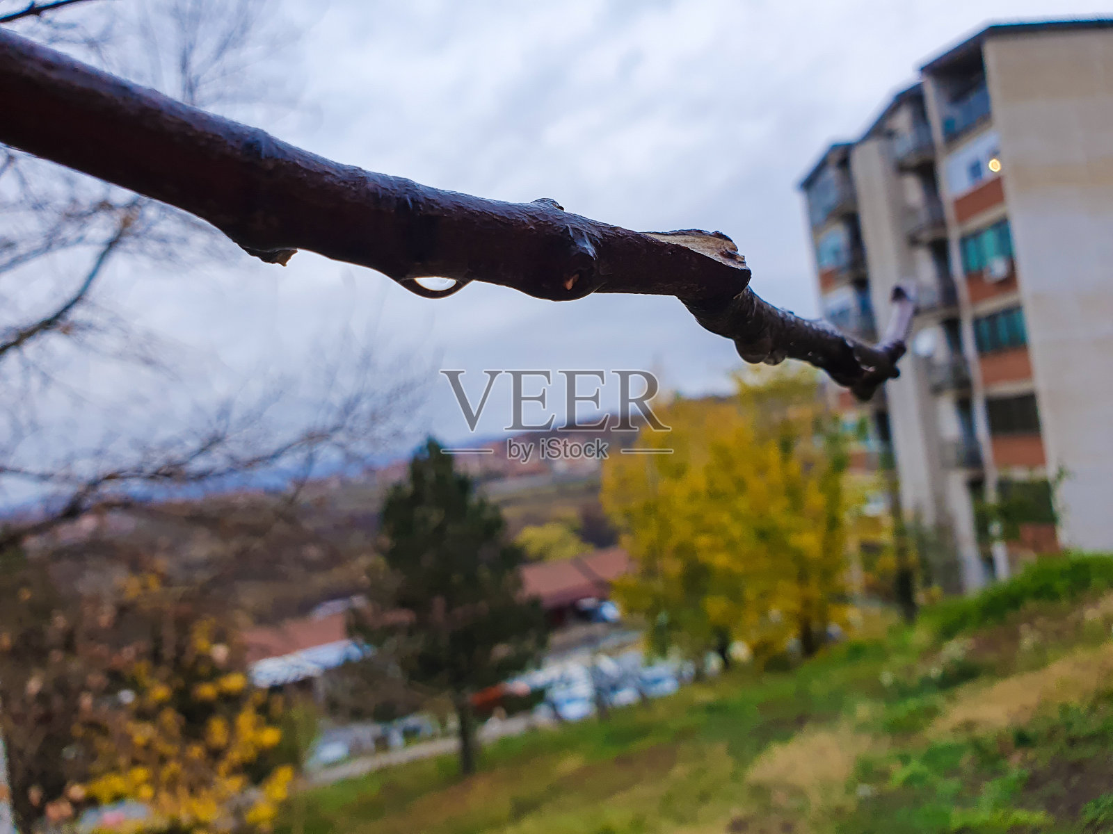 雨天照片摄影图片