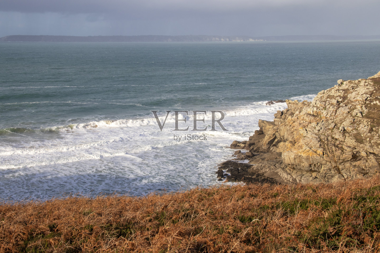 Beuzec-cap-Sizun…Douarnenez。杀猪的畜生Finistere。布列塔妮照片摄影图片