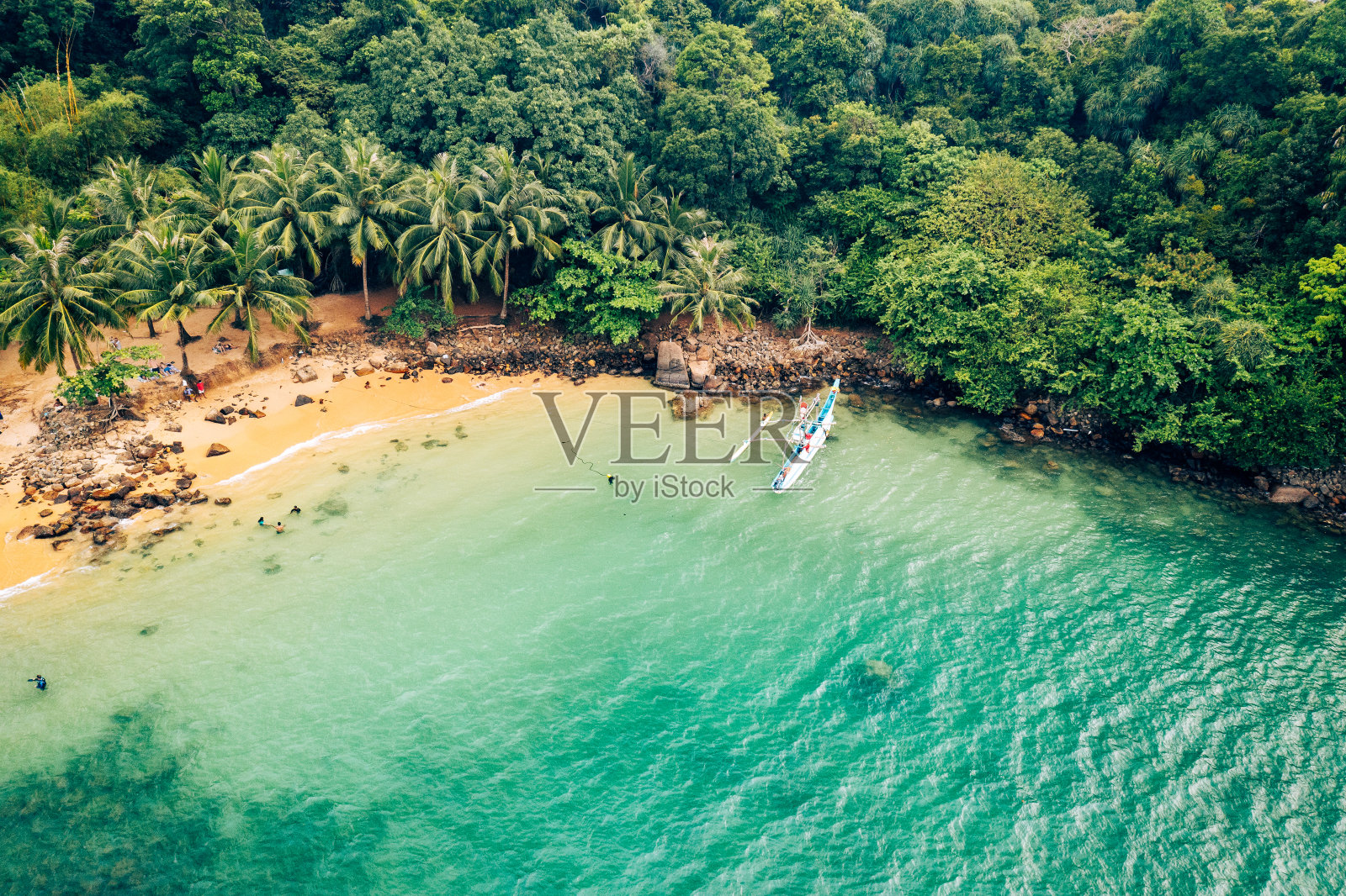 斯里兰卡热带丛林海岸鸟瞰图。照片摄影图片