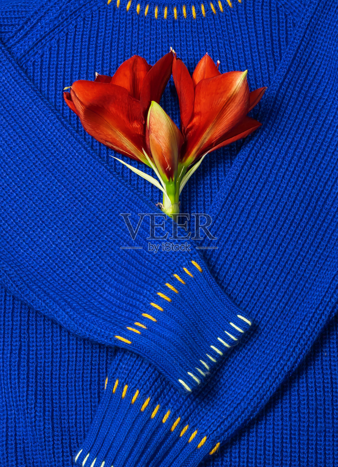 毛衣上的花照片摄影图片