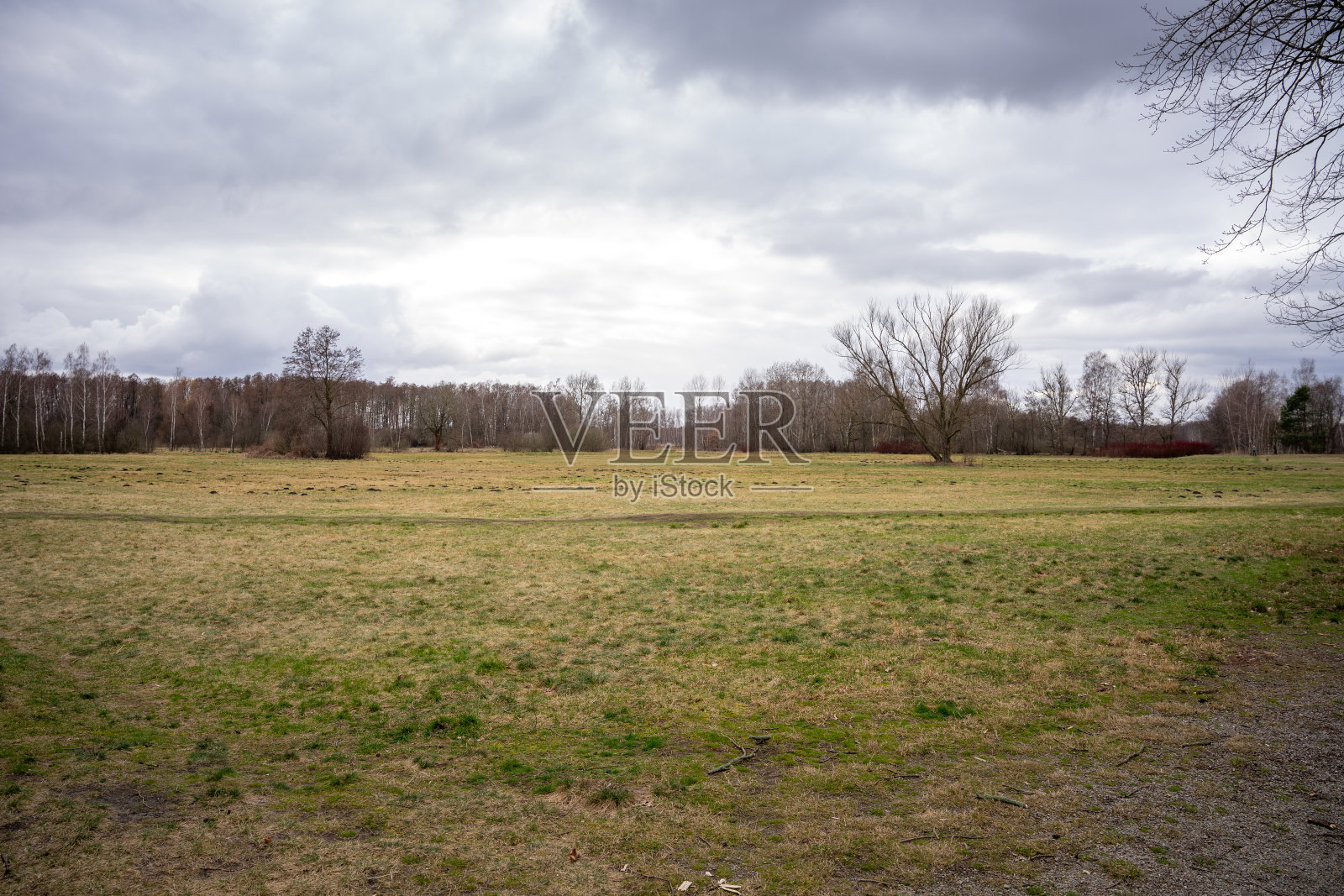 田野的自然景观照片摄影图片