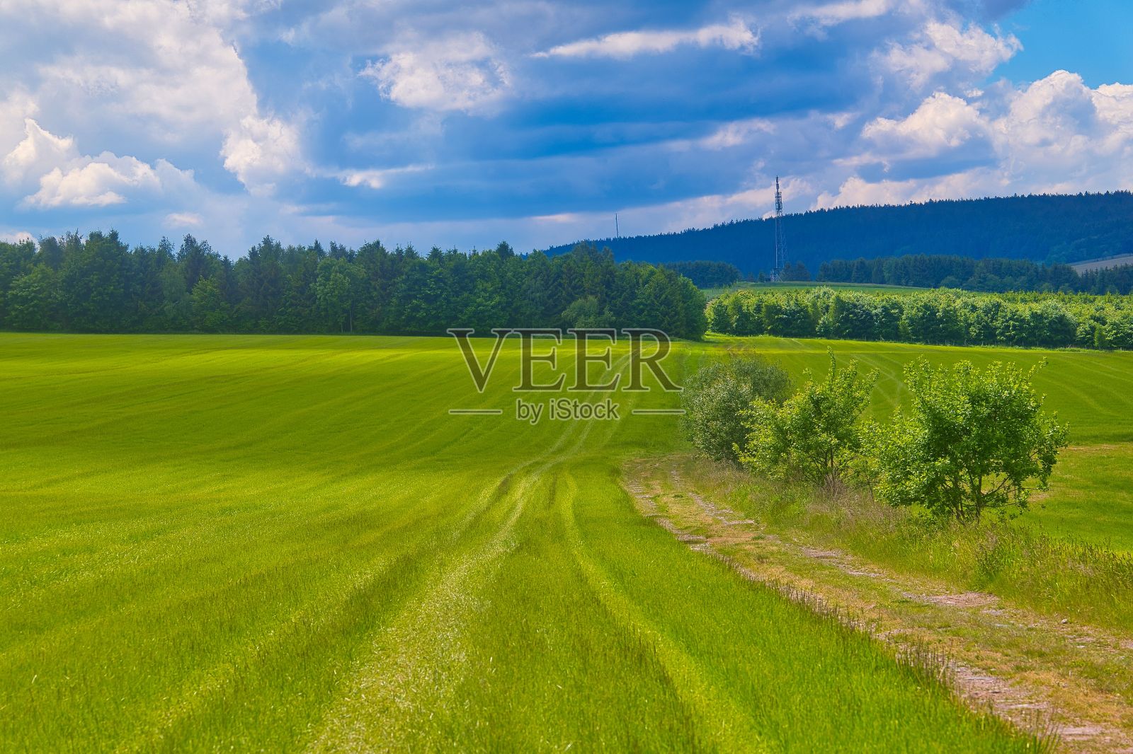 德国一个阳光明媚的日子，图林根森林美丽的绿色草坪照片摄影图片