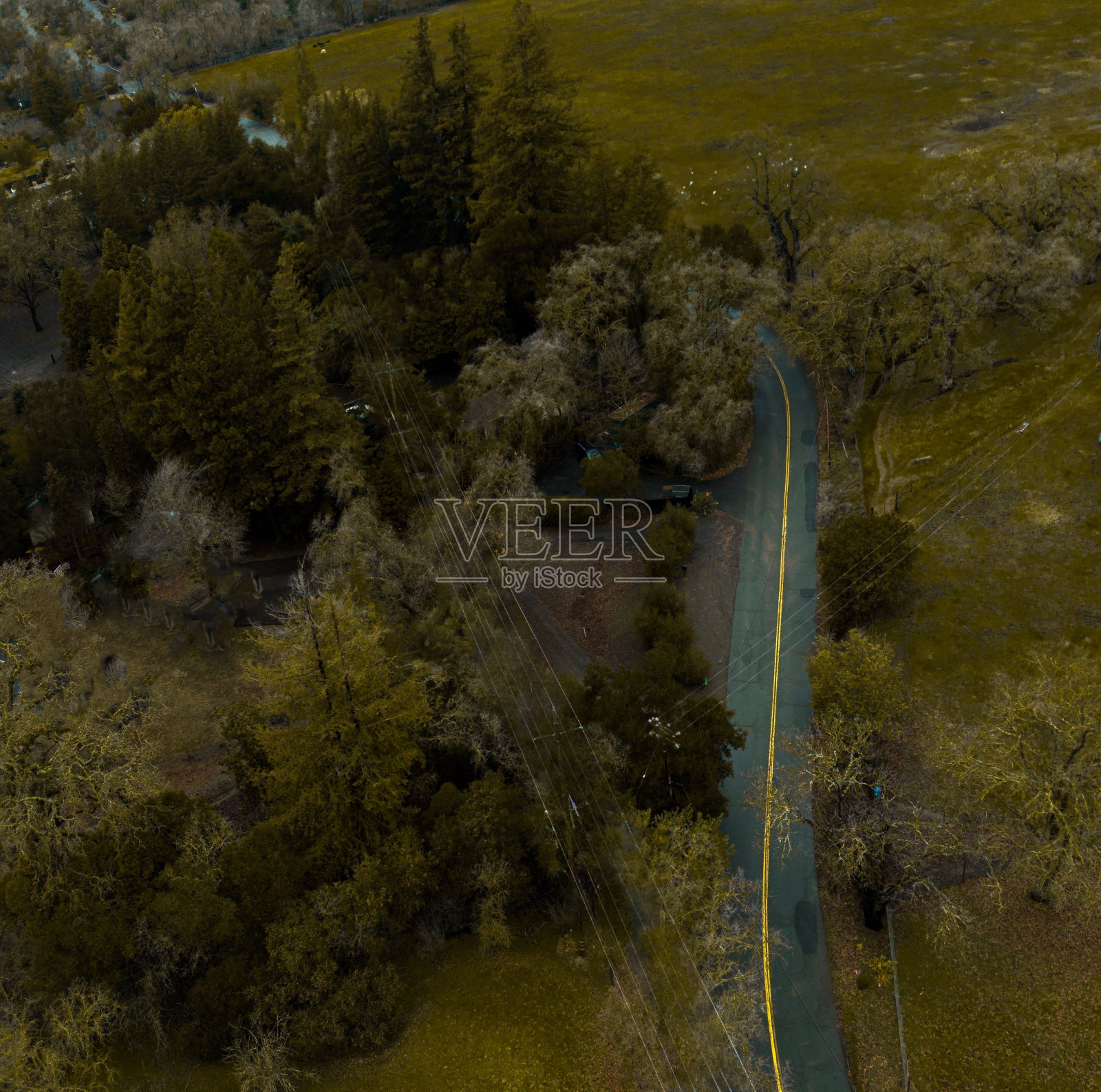 由茂密树木环绕的道路鸟瞰图照片摄影图片