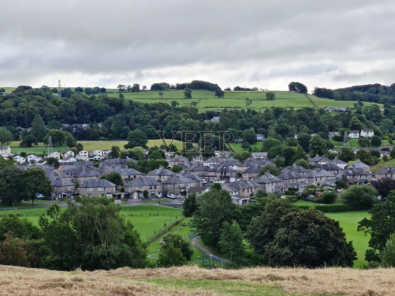 远处的一个村庄，相似的房子被绿色的树木和植物包围着照片摄影图片