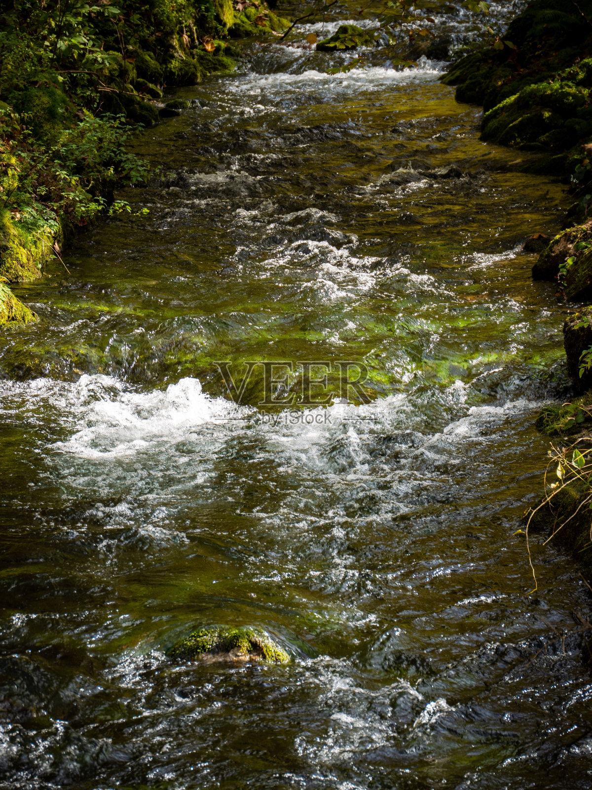 阳光灿烂的德国科尼斯湖的垂直拍摄照片摄影图片
