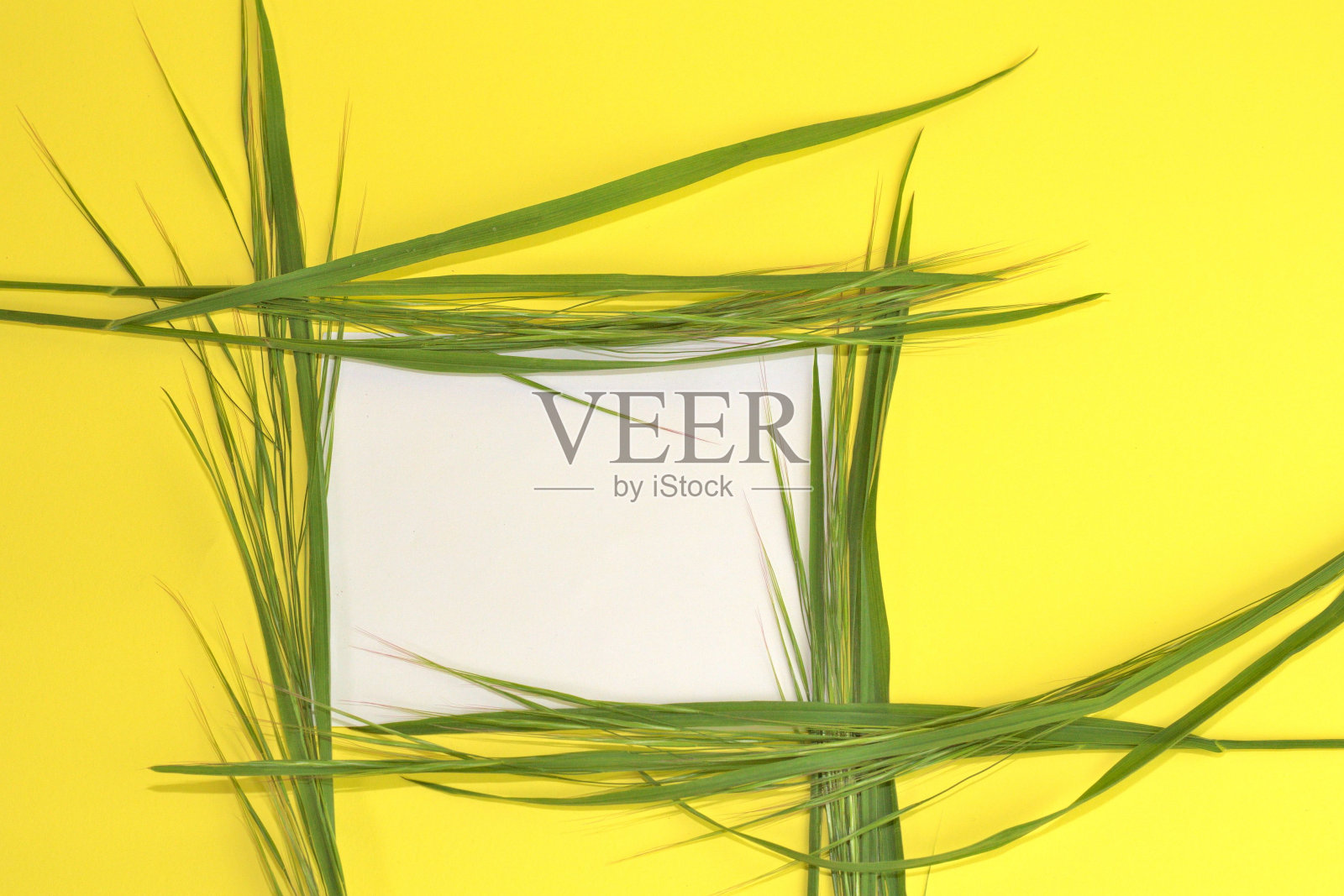 框架由草与一个充满活力的黄色背景的复制空间照片摄影图片