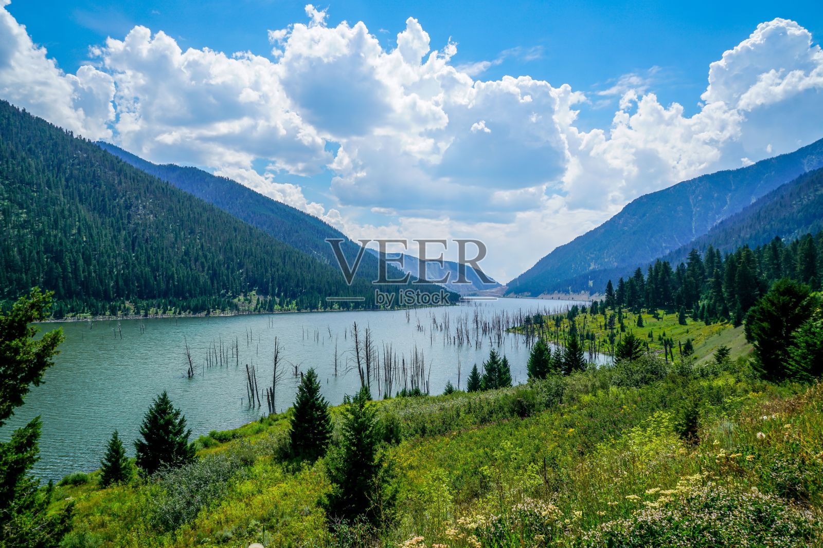 美丽的田野在乡村，河流被茂密的树木和山丘包围在阴云密布的天空下照片摄影图片