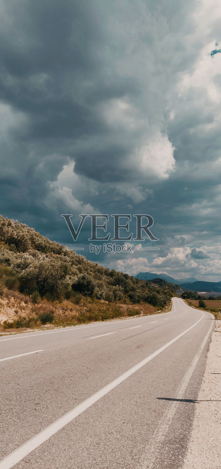 在云层密布的天空下，垂直拍摄树木之间狭窄的道路照片摄影图片