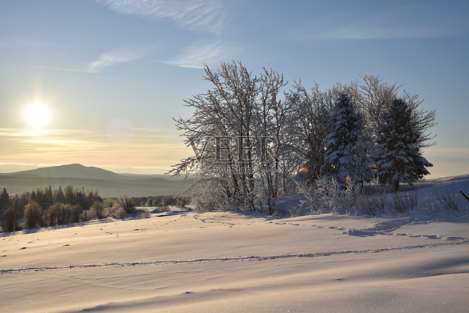 一个冬天的早晨照片摄影图片