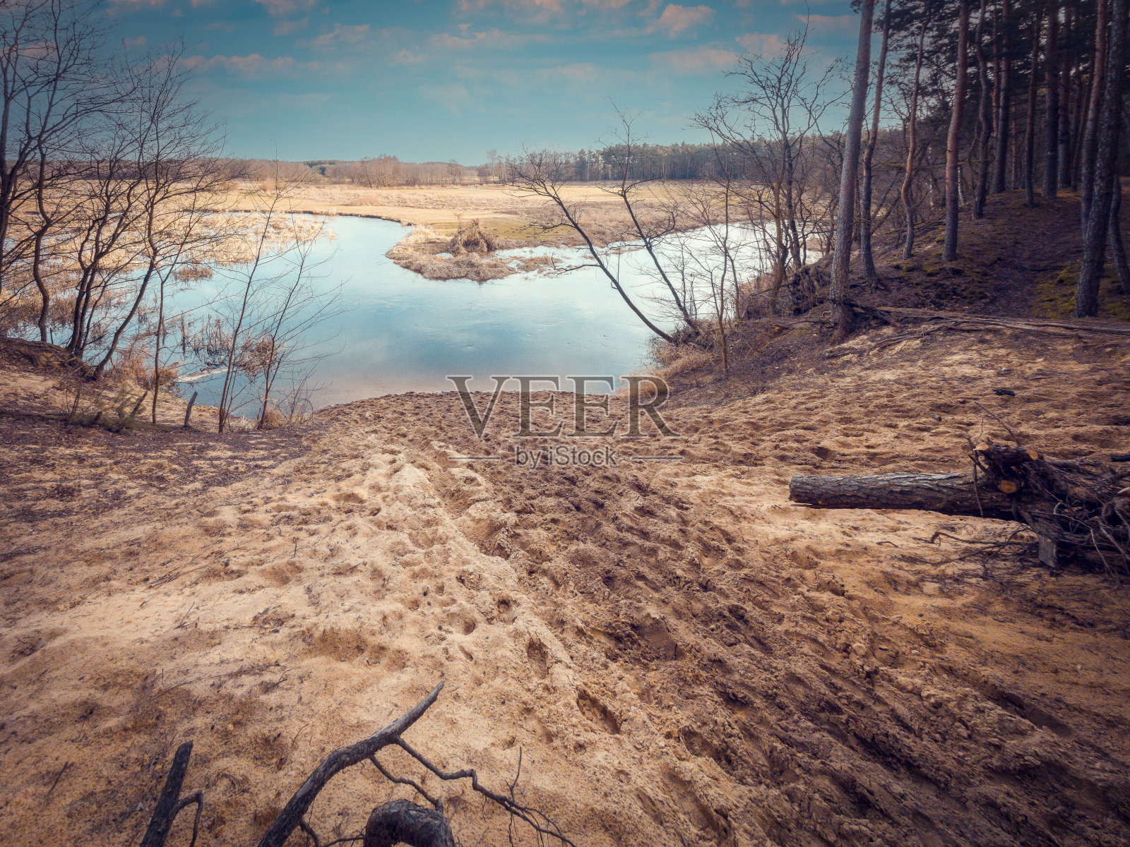 波兰中部的一条小河开始了一个无雪的冬天照片摄影图片