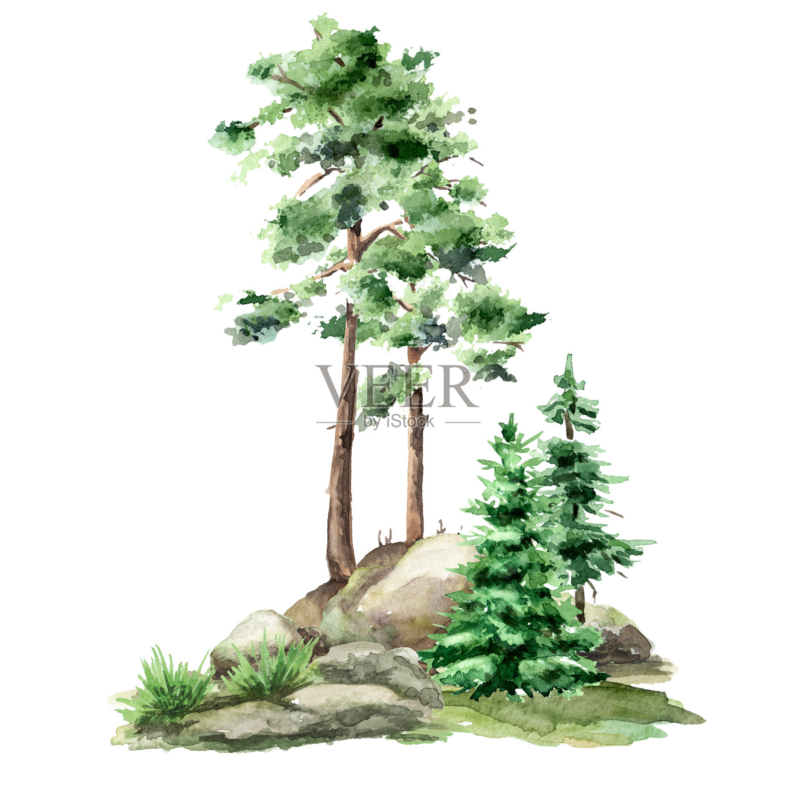 森林景观与岩石和树木。手绘水彩插图孤立的白色背景插画图片素材