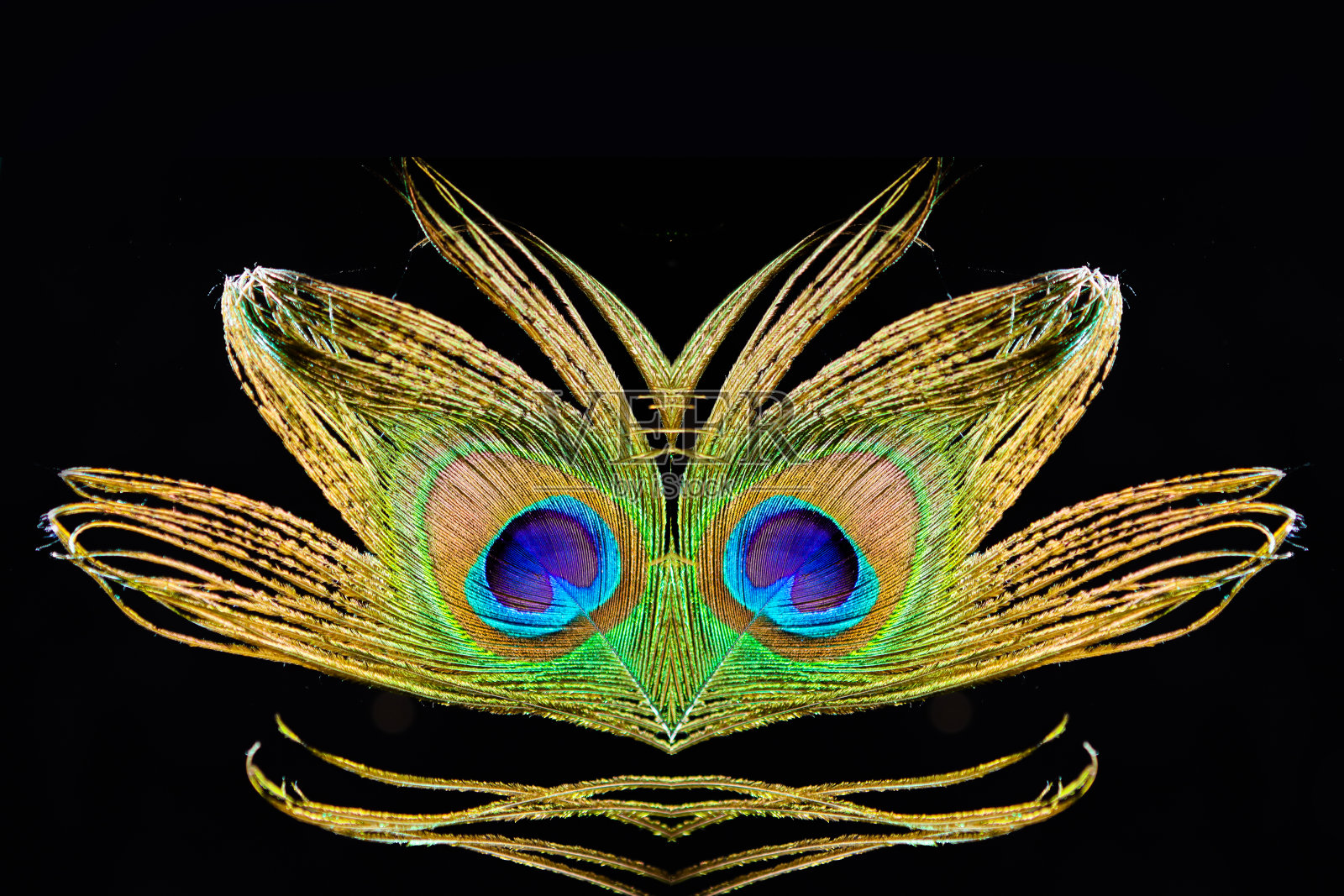 - 彼得·霍夫斯特照片摄影图片