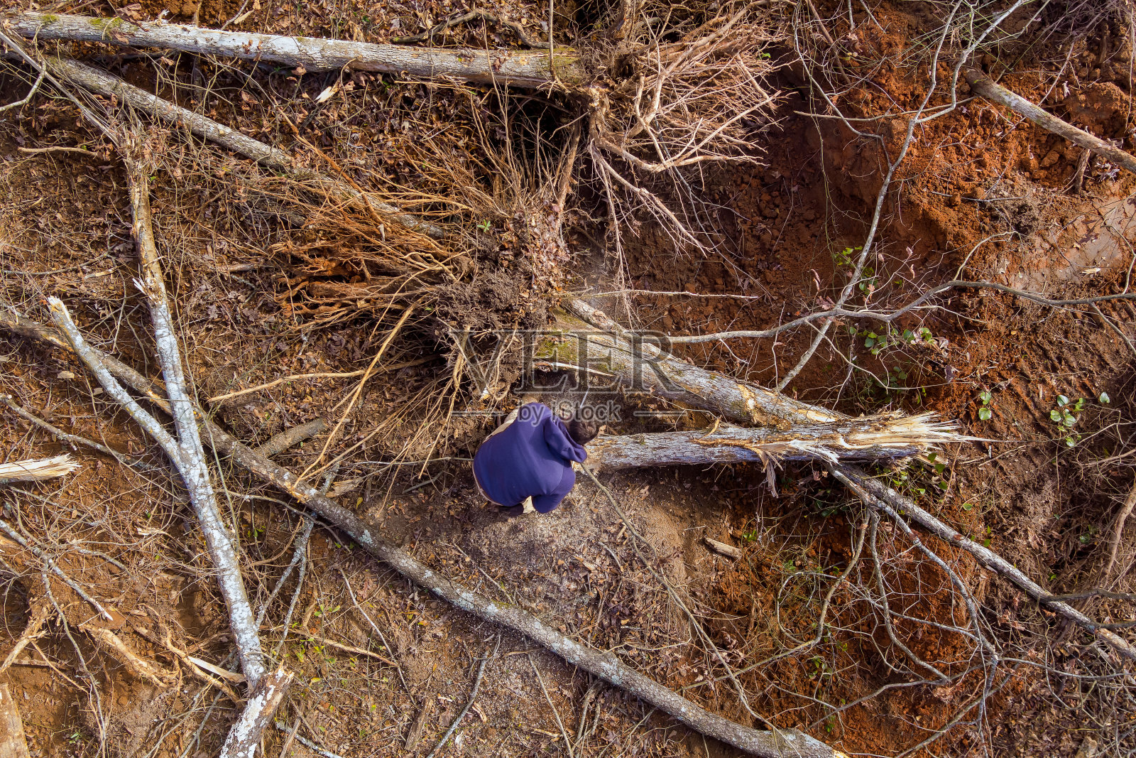 飓风过后，公用事业人员用电锯砍倒了一棵断了的树干照片摄影图片