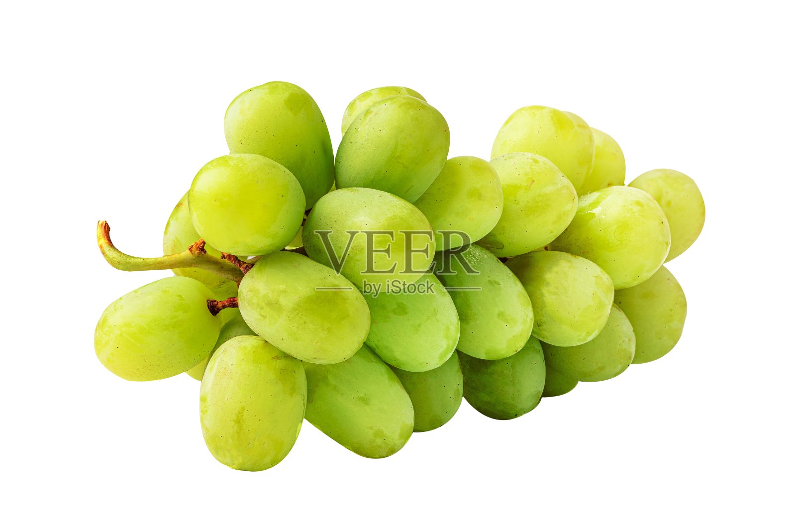 新鲜的绿葡萄，白色背景。照片摄影图片