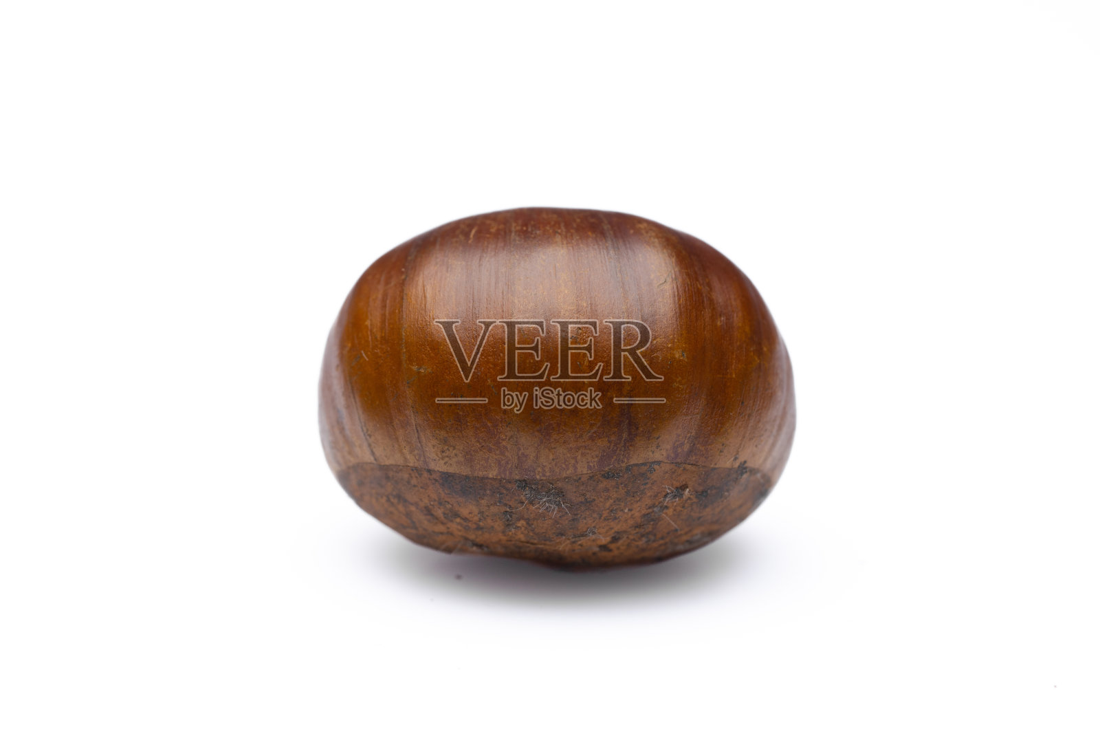 白底生烤栗子照片摄影图片