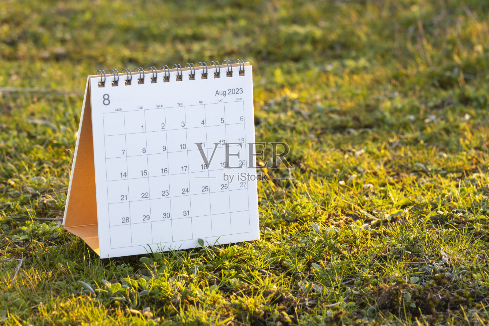 2023年历法，八月月照片摄影图片
