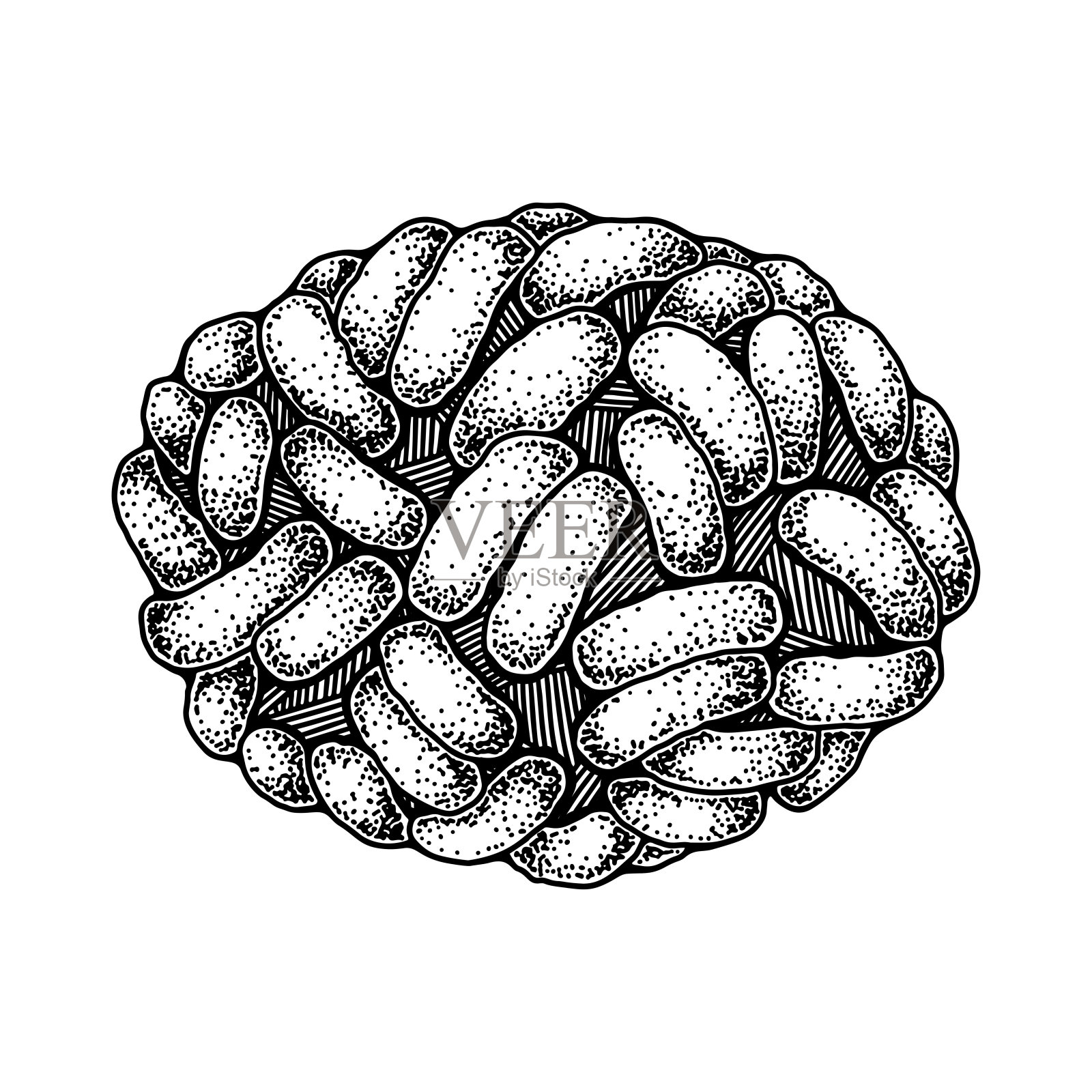 手绘天花病毒分离的白色背景。逼真详细的科学矢量插图在素描斯泰尔插画图片素材