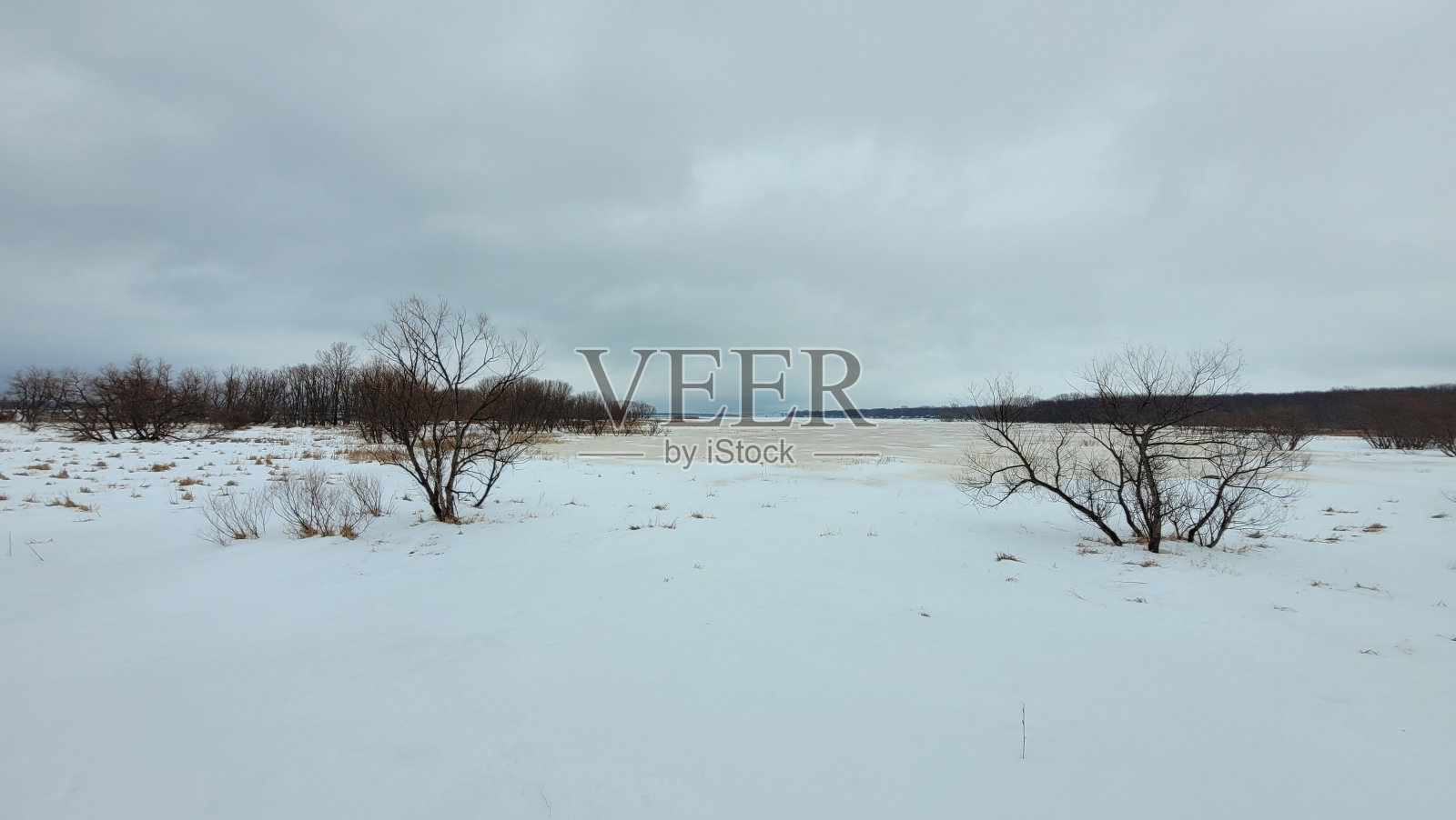 Winter landscape of the Parc Écologique de l'Anse au Port (photo4)照片摄影图片