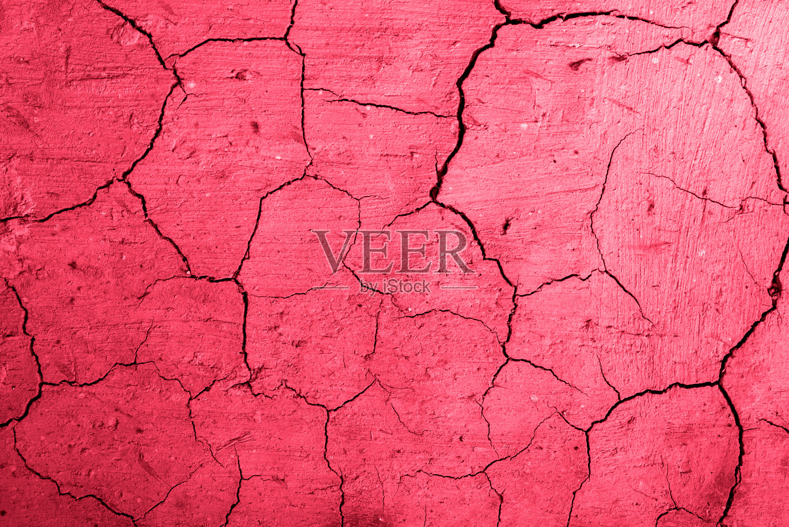 干裂土地的纹理。新的2023趋势潘通18-1750万岁品红颜色。照片摄影图片