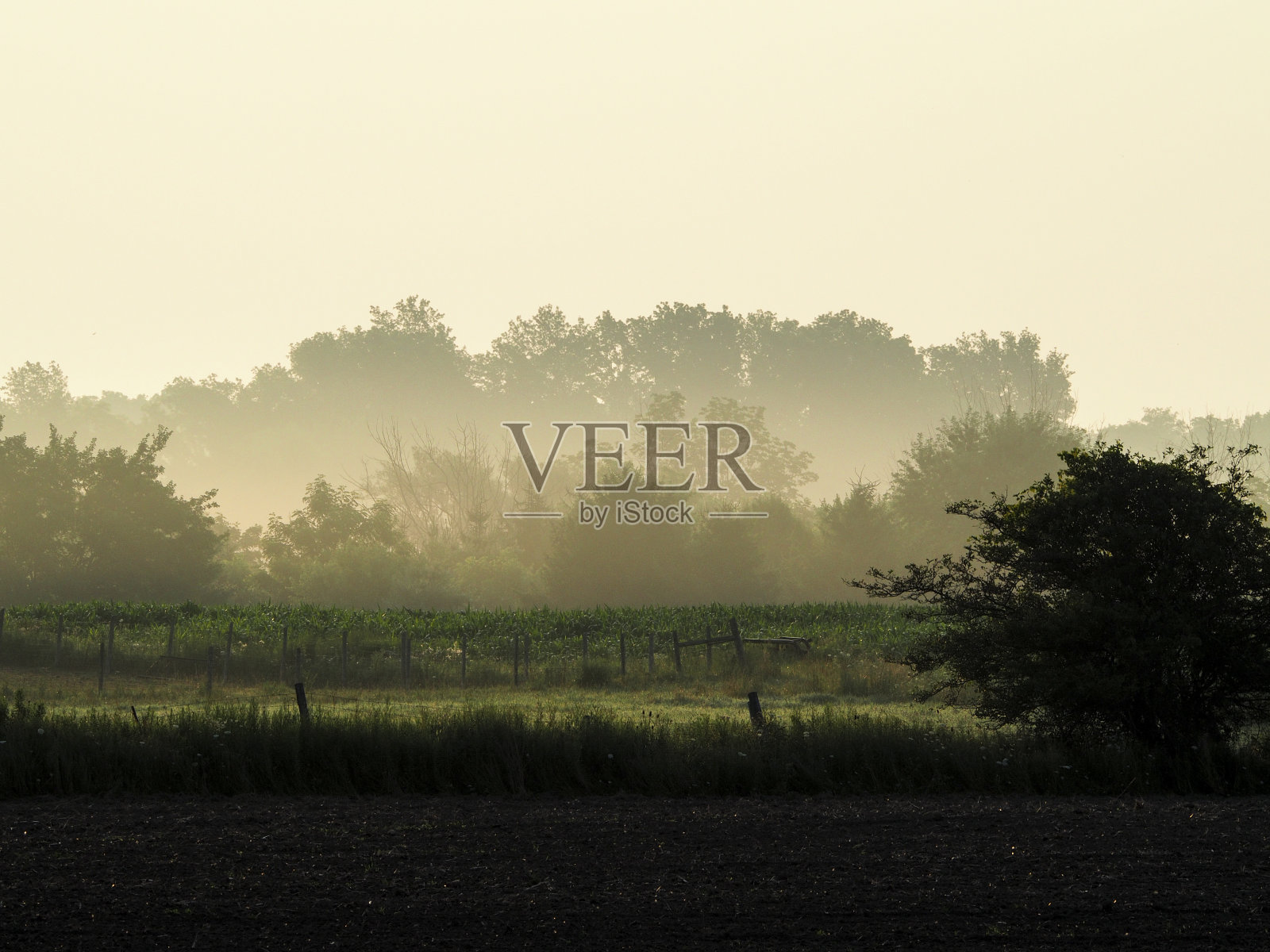 单调的早晨照片摄影图片