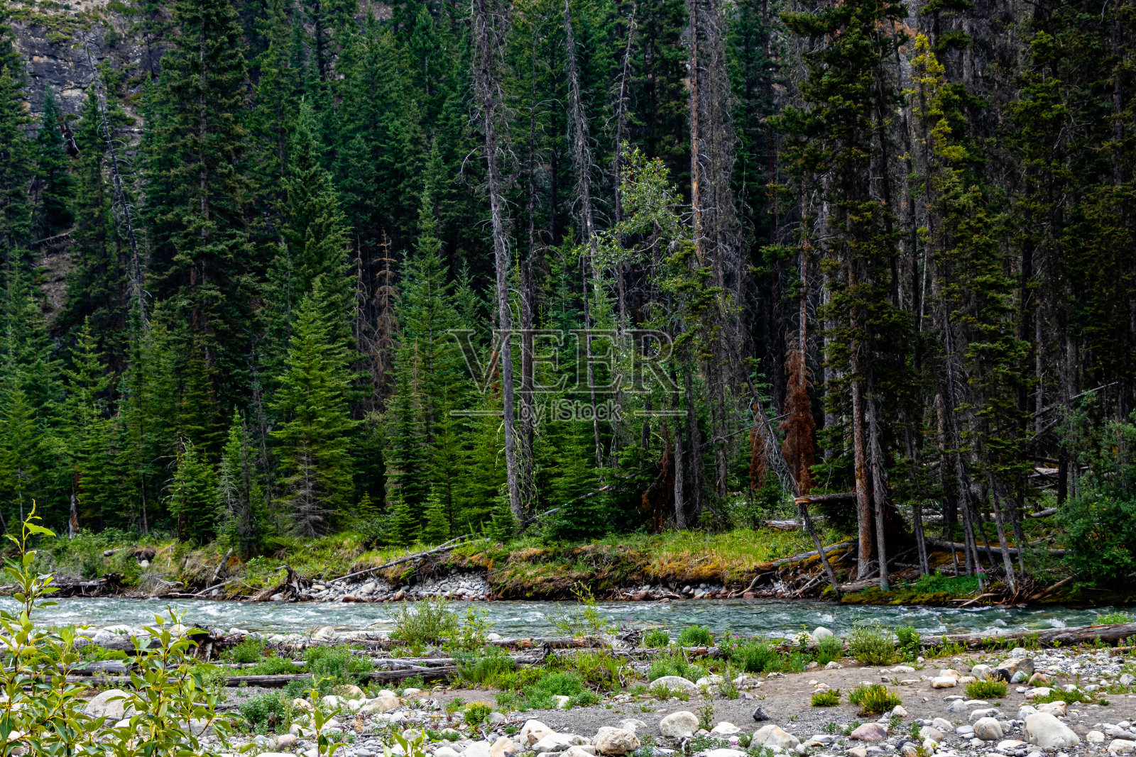 加拿大阿尔伯塔省班夫国家公园阳光山路照片摄影图片