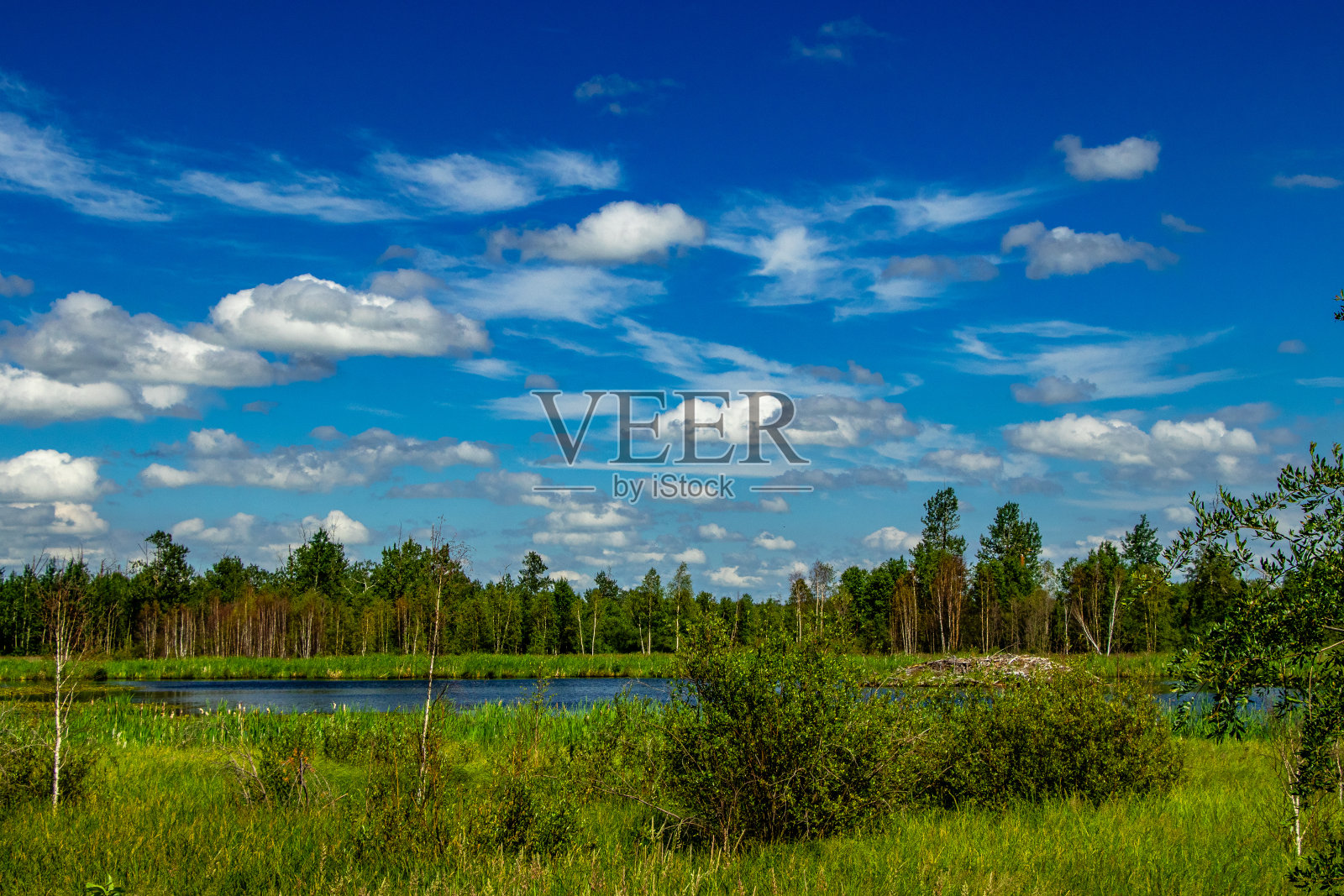 加拿大阿尔伯塔省麋鹿岛国家公园路边照片摄影图片