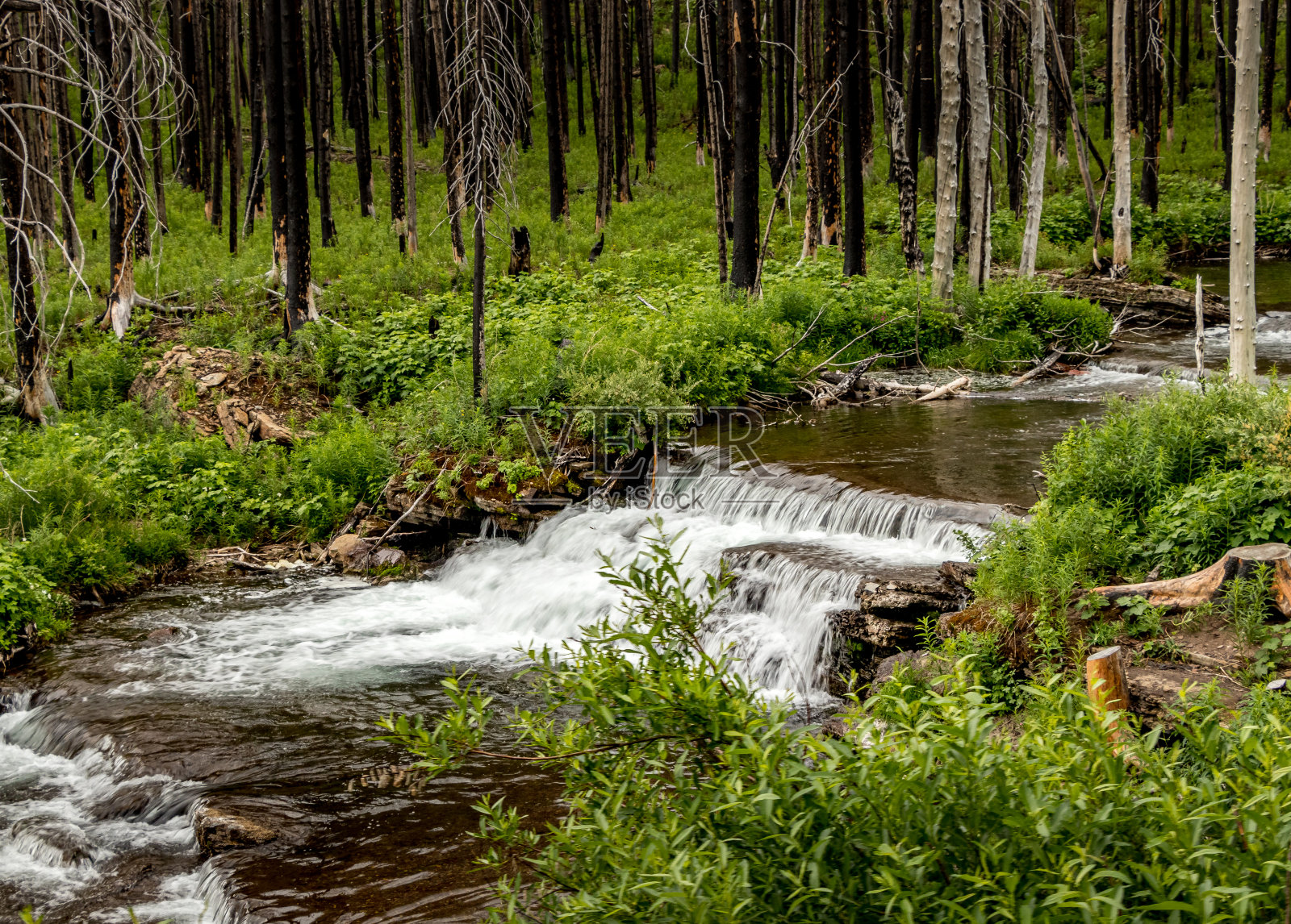 阿卡米娜公园路沃特顿湖国家公园加拿大阿尔伯塔省照片摄影图片