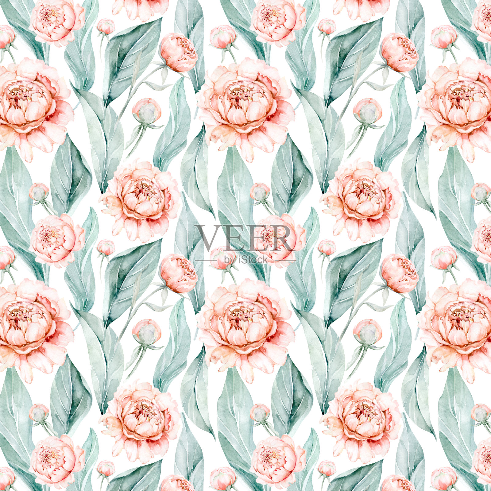 无缝花卉图案与牡丹水彩。插画图片素材