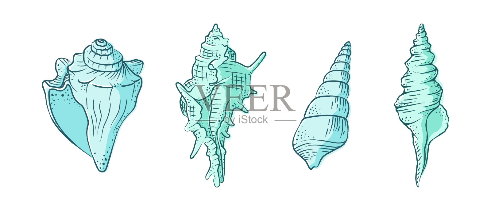 贝壳矢量图。抽象的波西米亚素描涂鸦风格。菜单插图，海鲜餐厅设计，度假酒店水疗中心，冲浪板。墙壁艺术印刷，t恤，手机壳插画图片素材