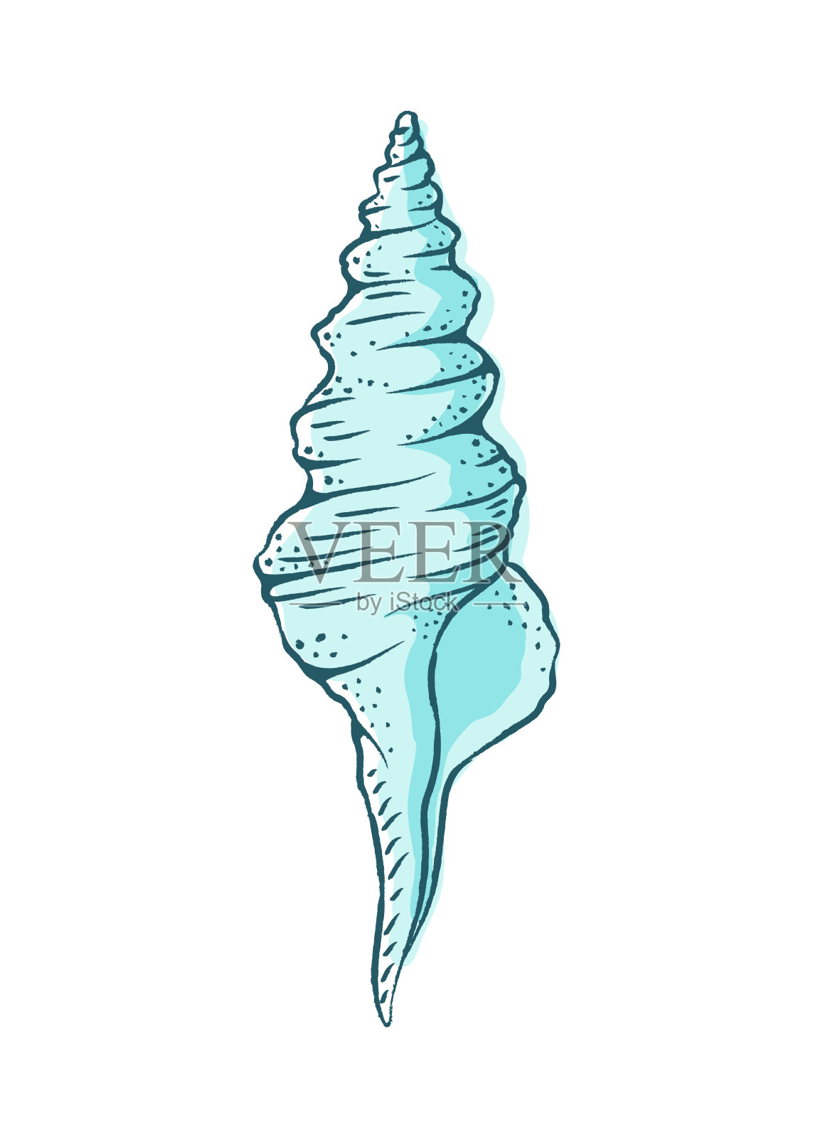 贝壳矢量图。抽象的波西米亚素描涂鸦风格。菜单插图，海鲜餐厅设计，度假酒店水疗中心，冲浪板。插画图片素材