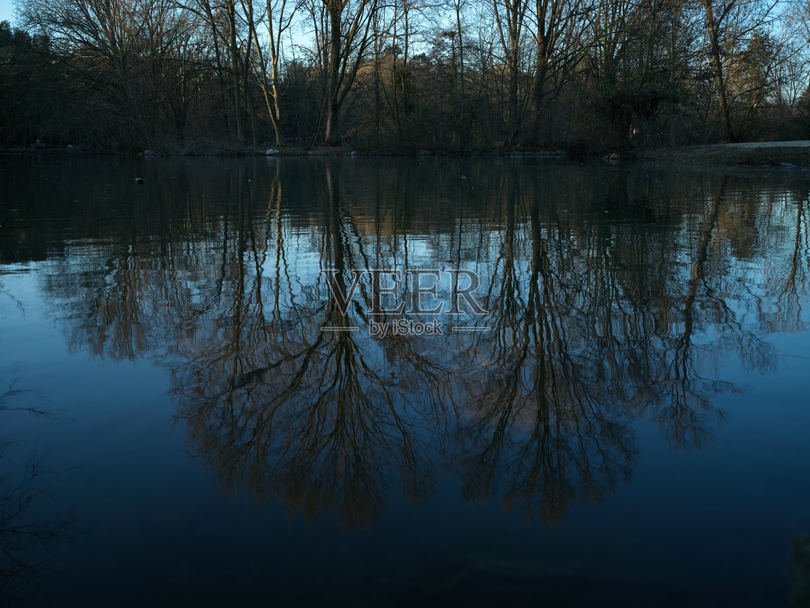 冬天的公园照片摄影图片