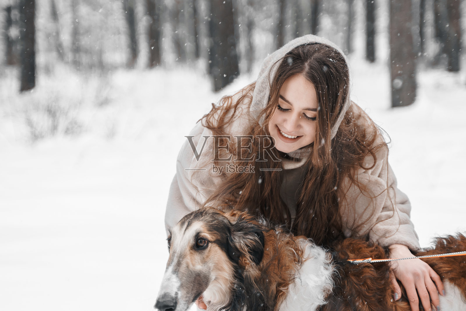 年轻美丽的女孩在雪寒冷的冬天霜冻森林散步与宠物，狩猎品种俄罗斯猎狼狗。视觉猎犬，猎狼犬的主人。玩得开心，开怀大笑。时髦的衣服，皮大衣，毛线帽照片摄影图片