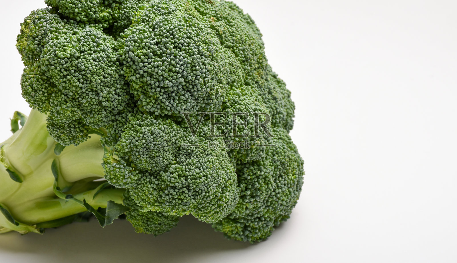 新鲜的花椰菜照片摄影图片