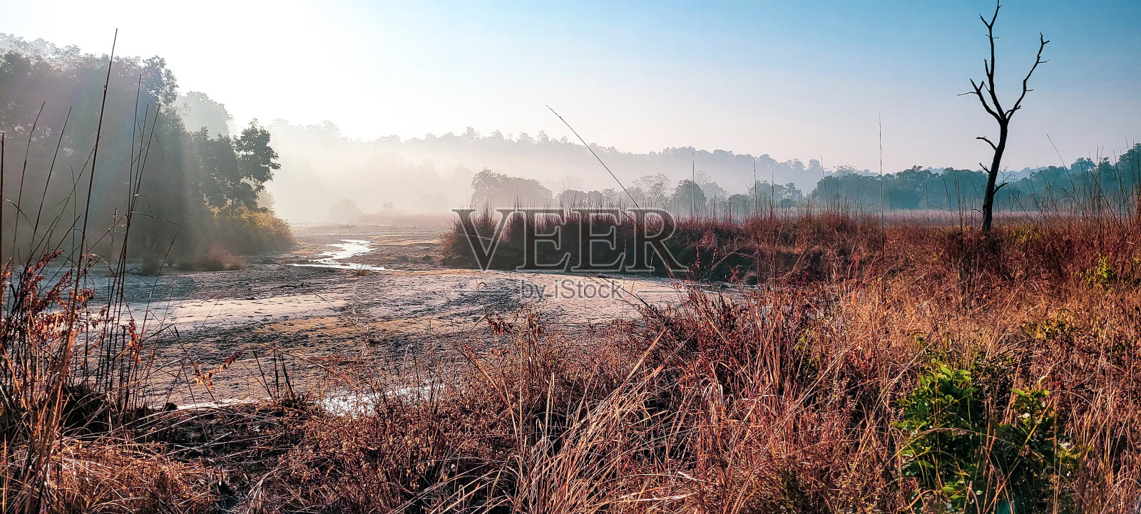 科比特国家公园冬天的早晨照片摄影图片