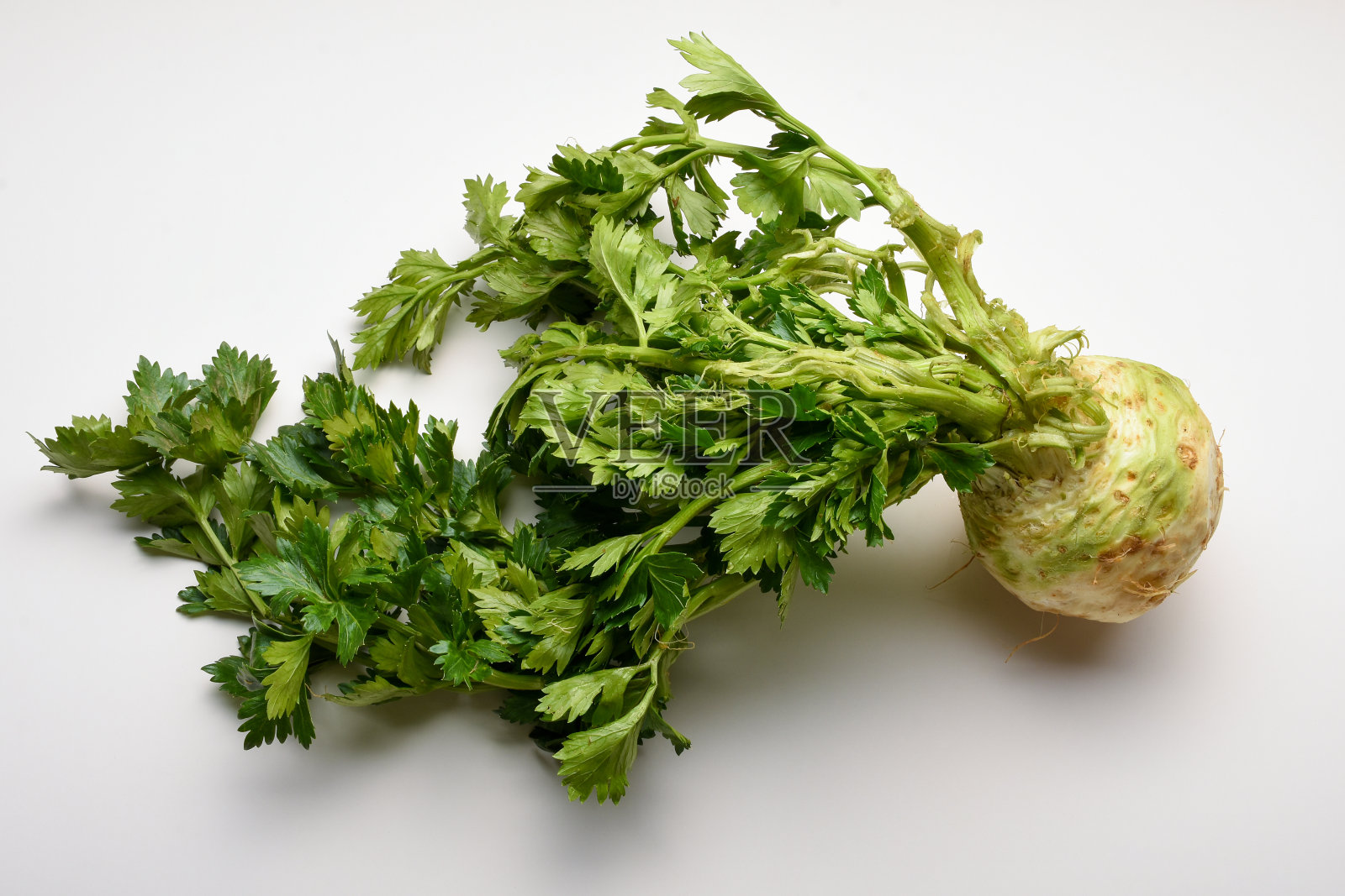 新鲜有机芹菜带叶照片摄影图片