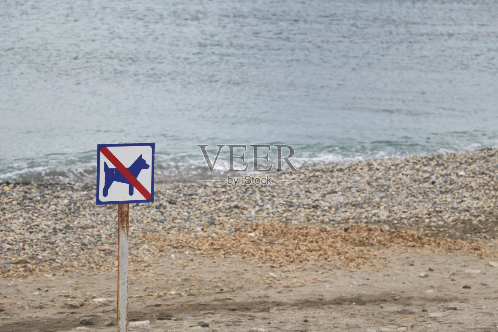 在西班牙，狗不能在海滩上签名照片摄影图片