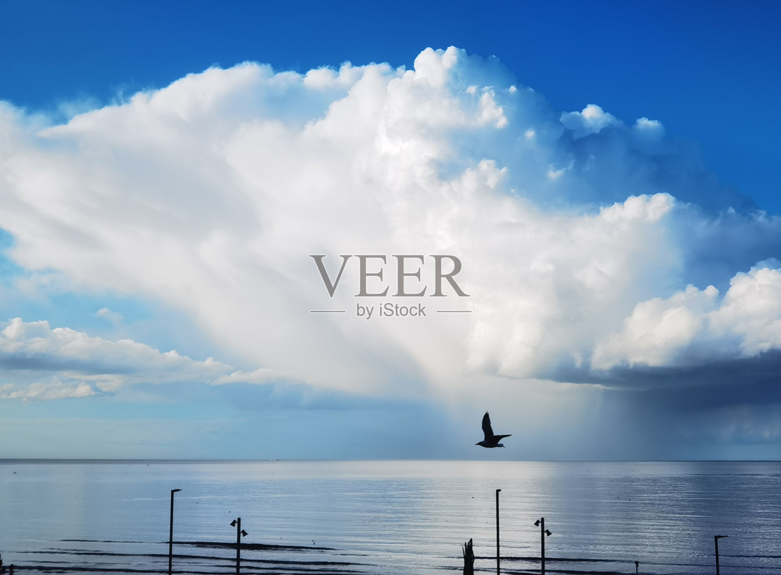 在多云的天空下，海鸥飞过蓝色海水的美丽镜头照片摄影图片