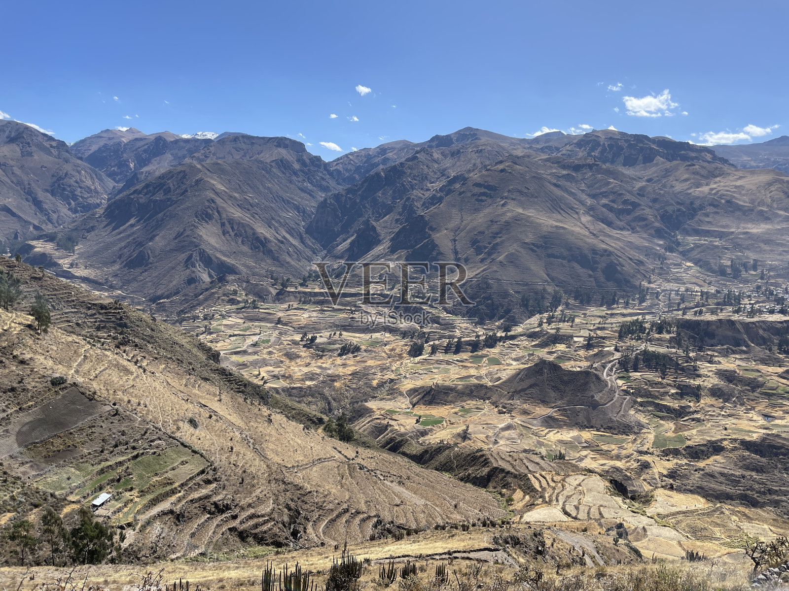 秘鲁Chivay附近的印加梯田Colca峡谷照片摄影图片