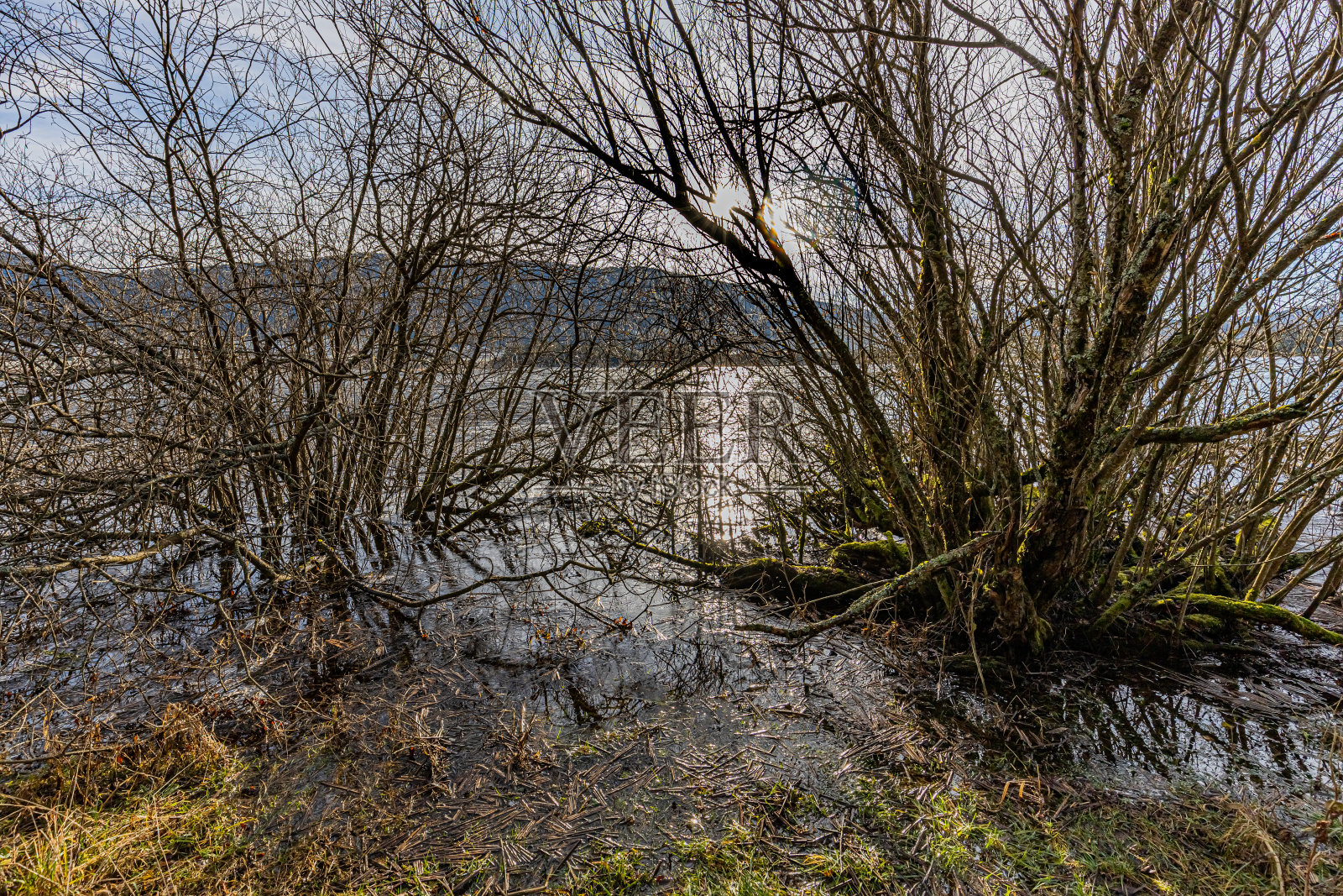 罗斯湖照片摄影图片