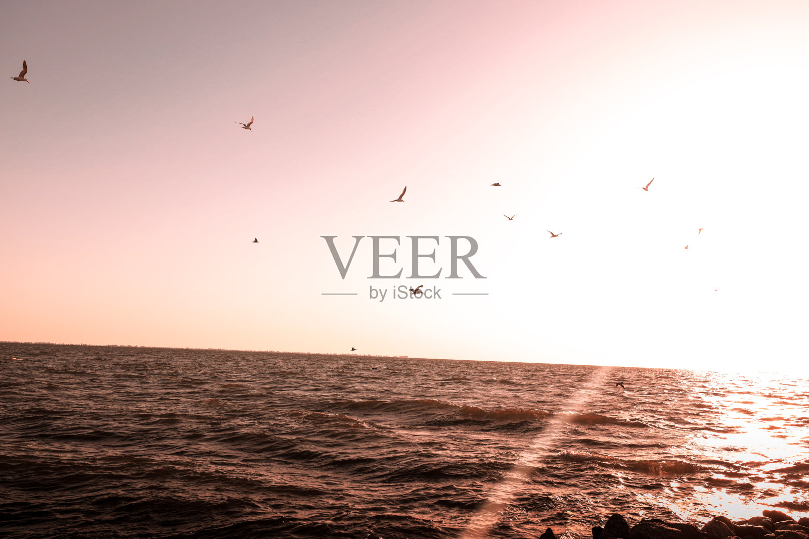 日出时美丽的海景照片摄影图片