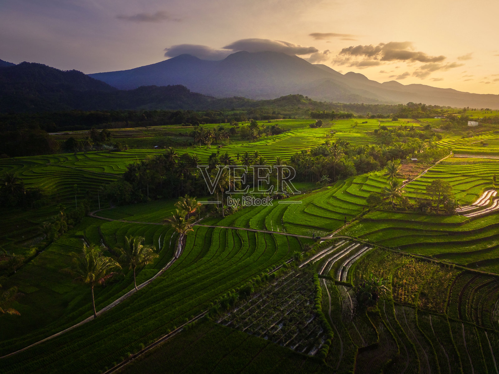鸟瞰亚洲在印度尼西亚稻田与山在日出照片摄影图片