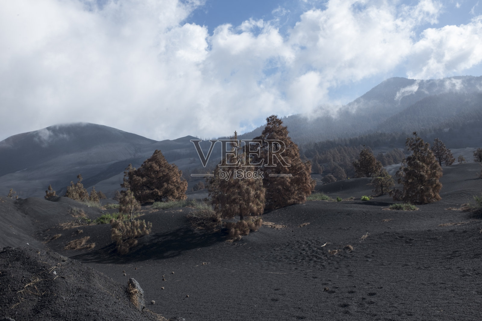 加那利群岛拉帕尔马的康伯维哈火山喷发照片摄影图片