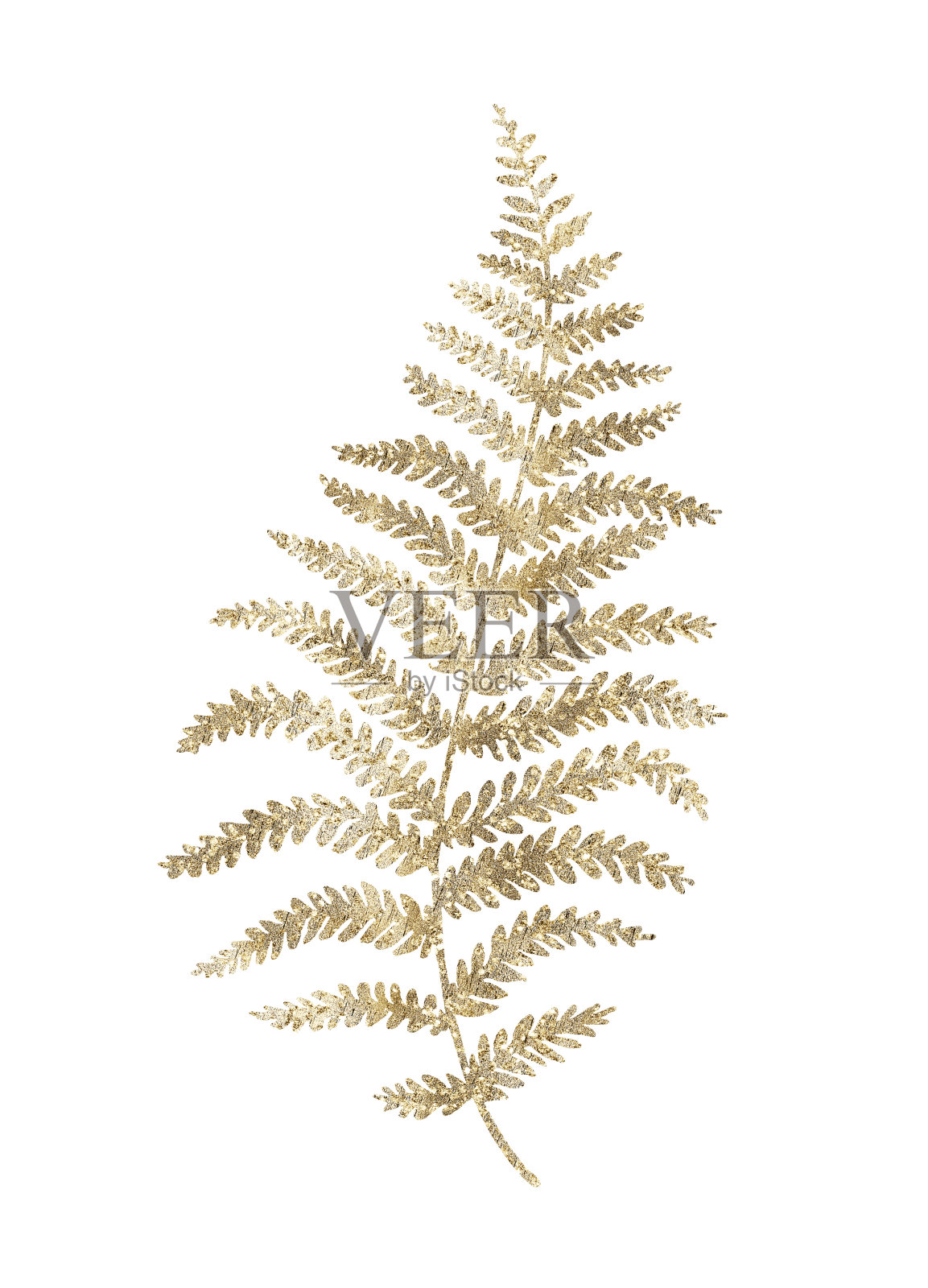 蕨类植物的金色叶子。插画图片素材