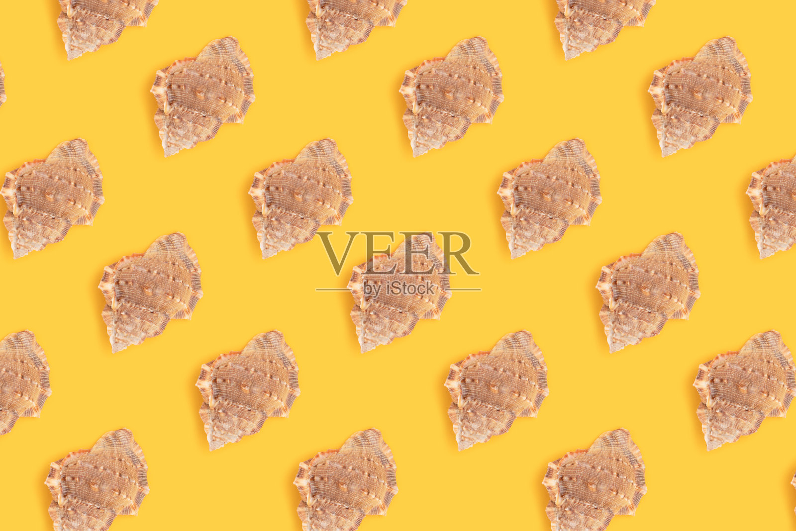 贝壳图案由贝壳制成的重复图案创造性的布局。夏天的概念。照片摄影图片