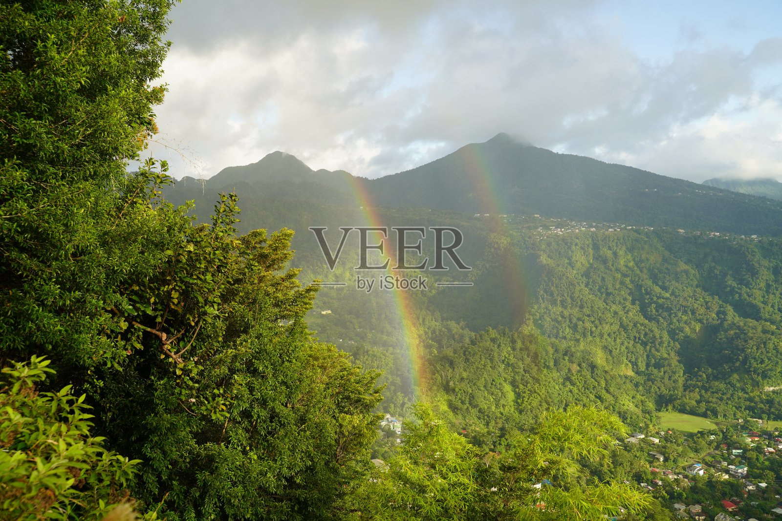 2021年加勒比照片摄影图片