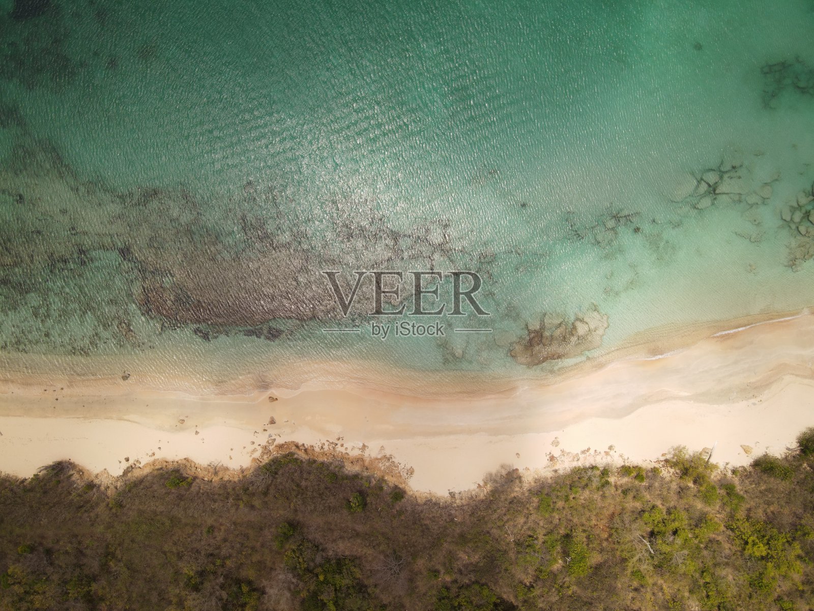 2021年加勒比照片摄影图片